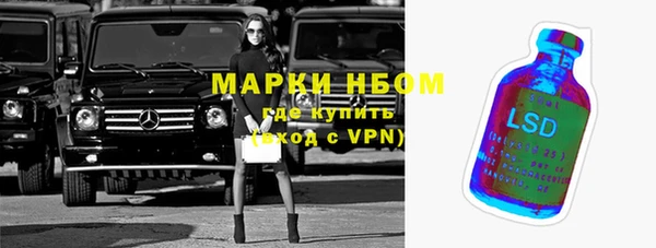 крисы Абаза