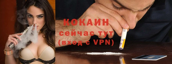 спайс Алексин