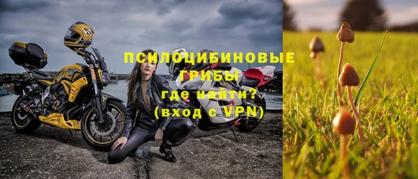 крисы Абаза
