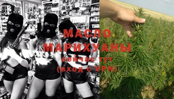крисы Абаза
