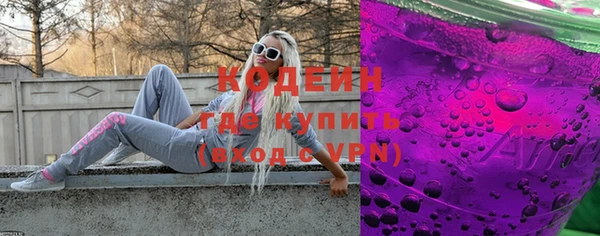 крисы Абаза