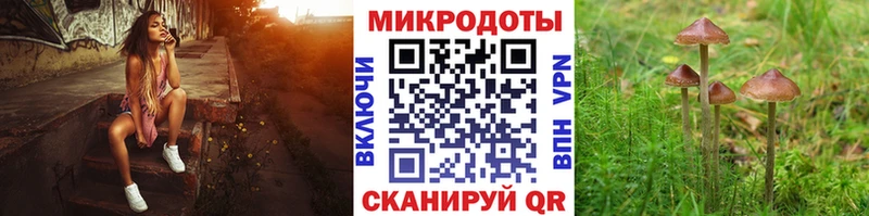 кракен как войти  Почеп  дарк нет телеграм  Галлюциногенные грибы прущие грибы 