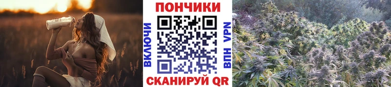 Бошки Шишки тримм  Почеп 